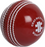 Gray Nicolls Club Wonderball Blister Junior Cricket Ball