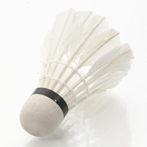 Arrow 100 (Social) Feather Tube (12) Badminton Shuttles