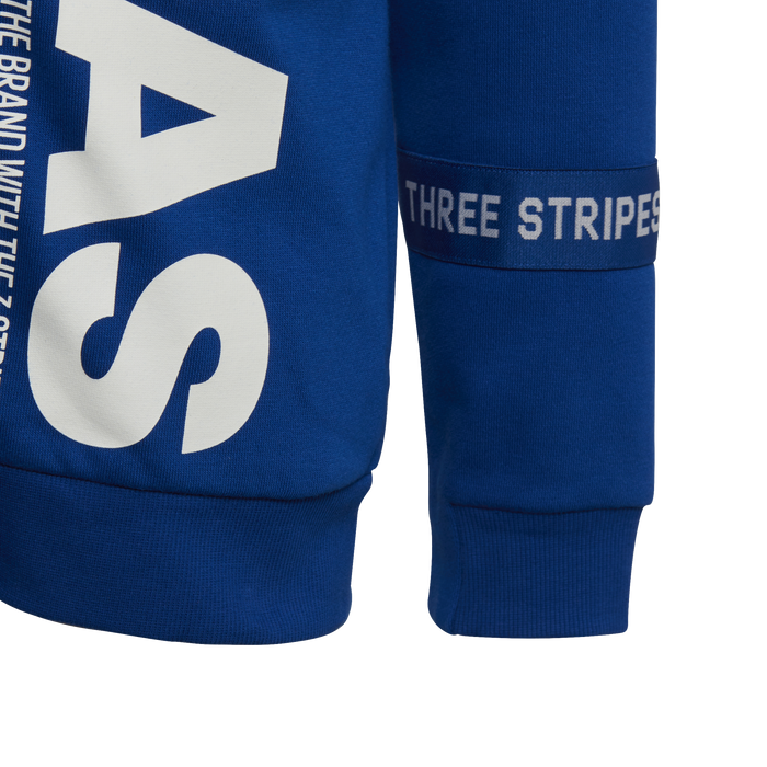 Adidas Boys Branded Fullzip Hoodie - Collegiate Royal